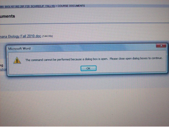 Microsoft Word fehlschlagen
