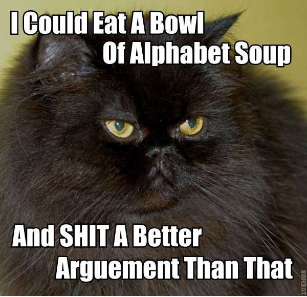 Savi cat