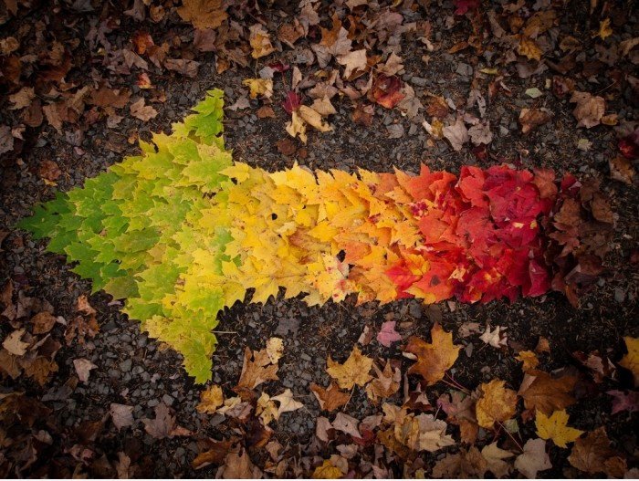 Herbst Spectrum