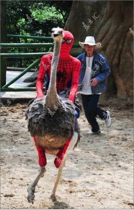 Inzwischen in china