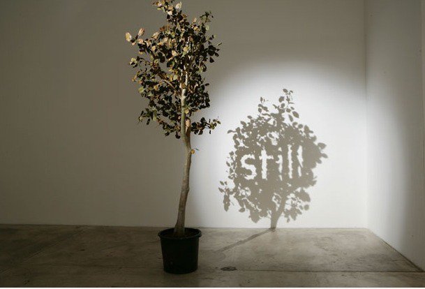 Erstaunlich Schatten Skulpturen 2