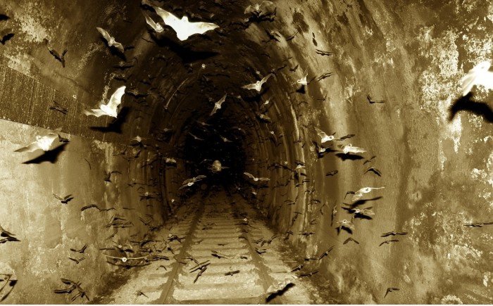 Wo ist Batman?