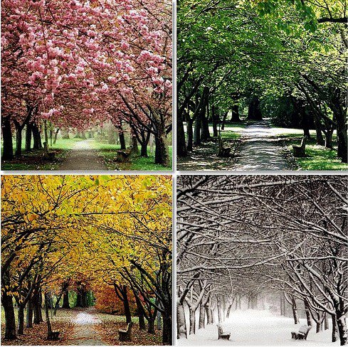 Seasons