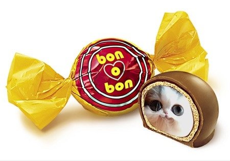 Also, das ist, warum BONoBON schmeckt so gut