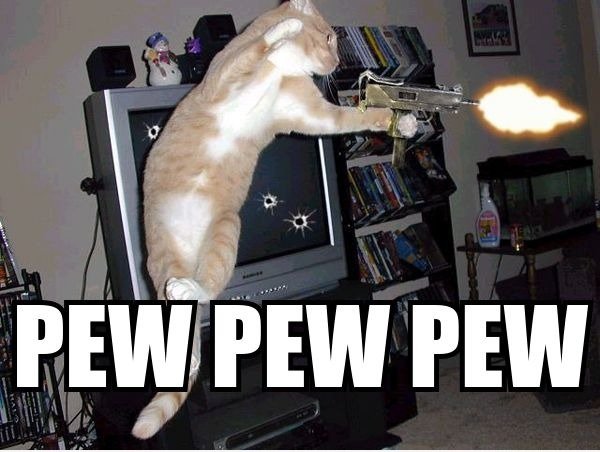 PEW PEW PEW!