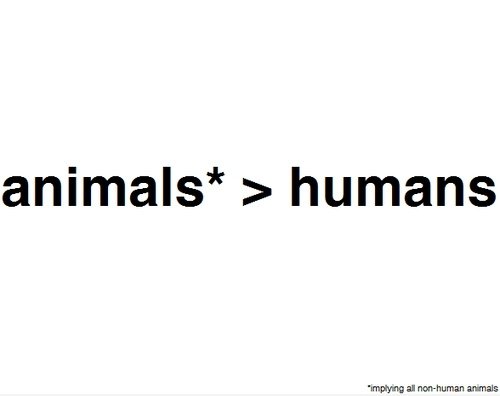 Tiere> Humans