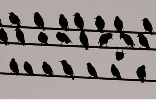 Dare To Be Different.