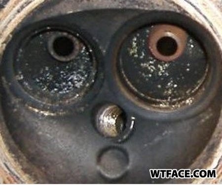 WTFace?