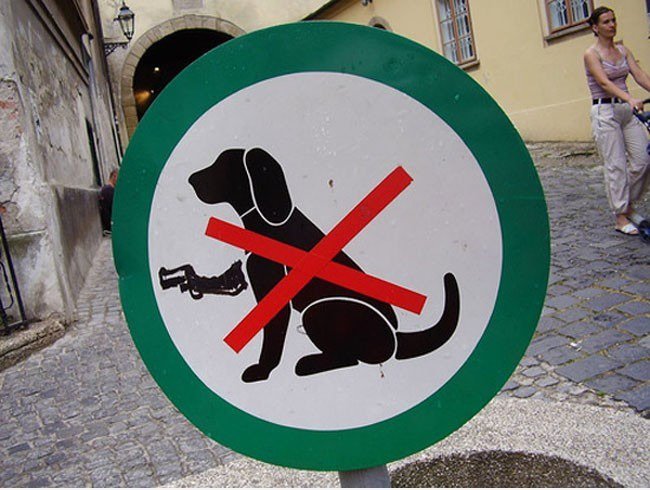 Hitman Hunden forbiden
