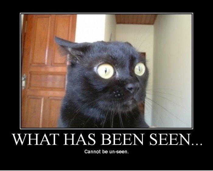 Arme Katze