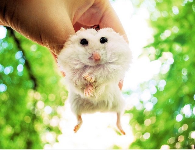 Lassen Sie sich nicht die Augen herausspringen