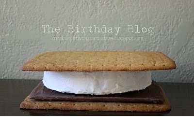 Can I Have S'more Cake?