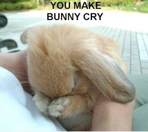 You Make-Häschen Cry
