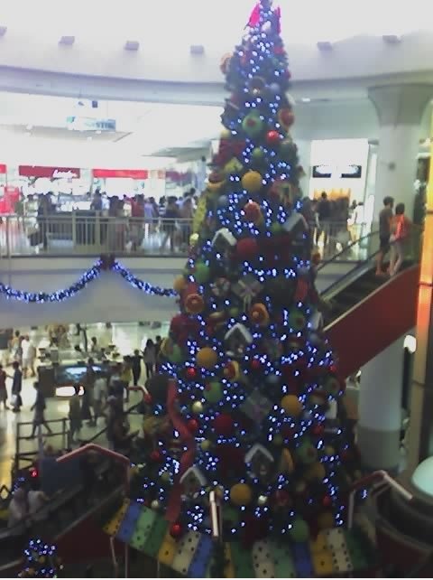 Tannenbaum