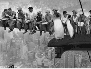 Pinguins