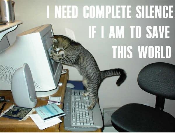 SwordCat