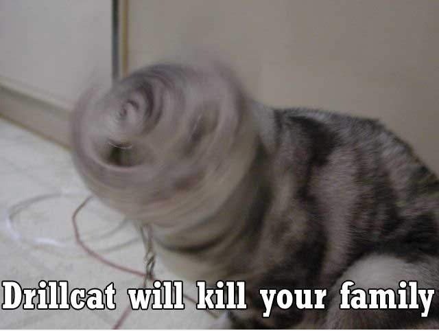 DrillCat