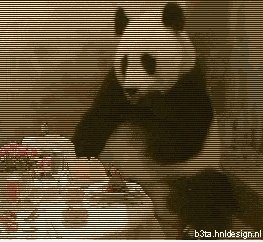 Der Check Mr. Panda ...