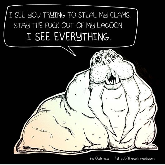 Compound-Eye-Walrus sieht alles