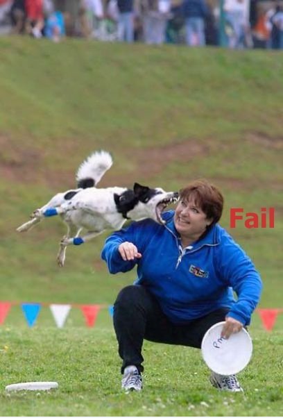 Fetch!