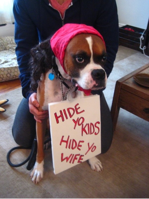 Antoine Dogson