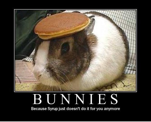 Bunnies