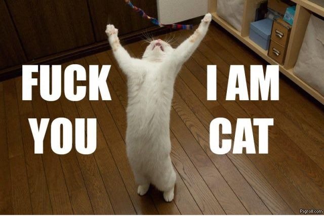 Yeeeaaah!