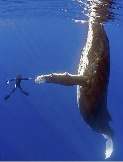High Five