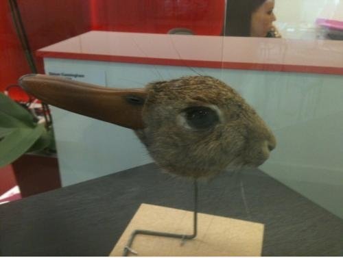 DuckRabbit.