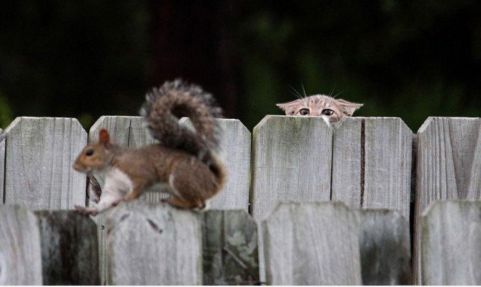 Gotcha.