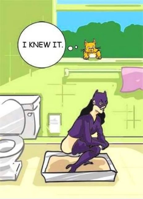 Busted!
