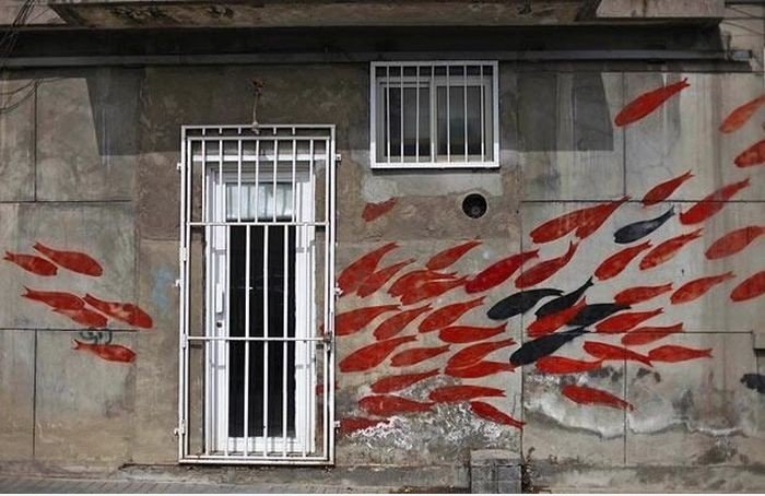 Coole Goldfish Graffiti