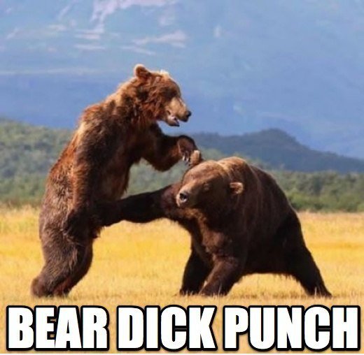 The Bear Fatality verschieben