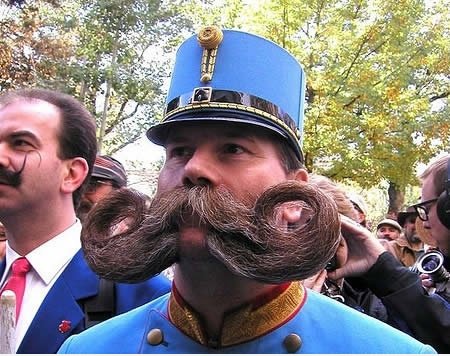 Die Moustache Stolz