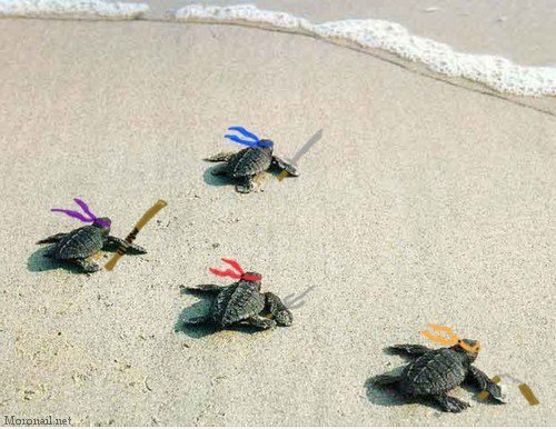 Ninja Turtles