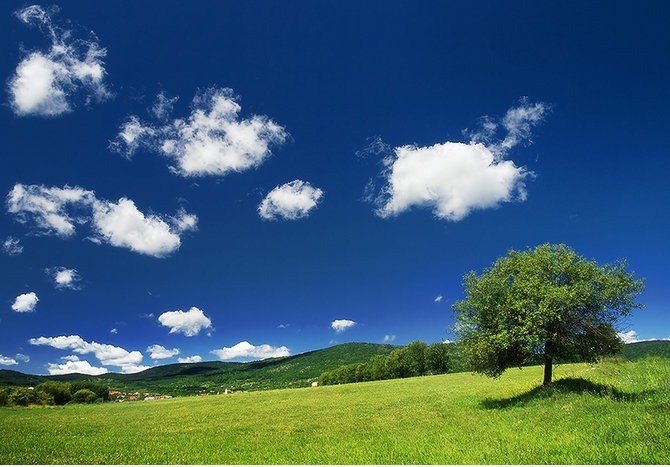 Amazing Nature Photography by Zsolt Zsigmond