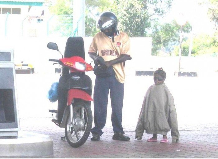 Penguin?