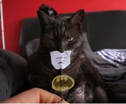 Ich bin Batman