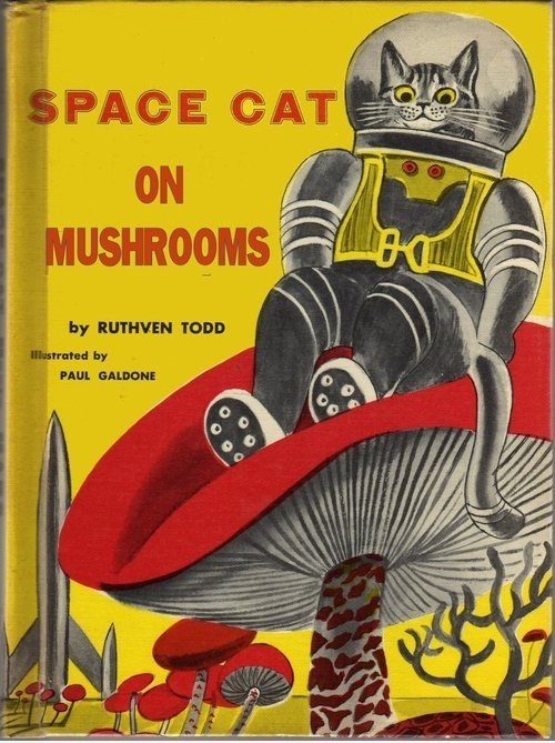 Space Cat auf Pilz