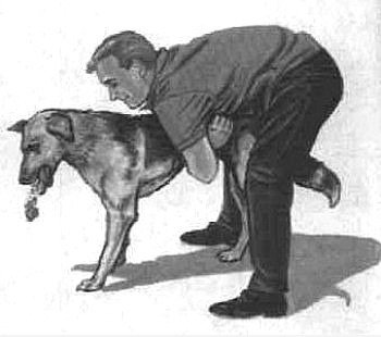 Doggie Style