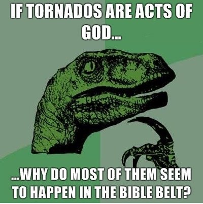 Philosoraptor überlegt ...