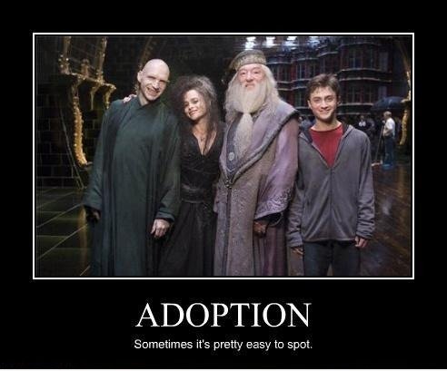Shh! Harry hat es noch nicht wissen!