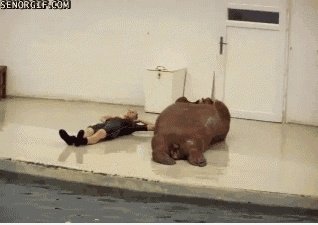 P90X Walrus Ausgabe