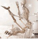 Skeleton Liebe