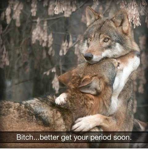Period.