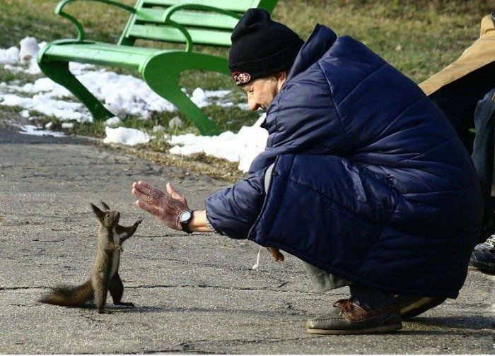 High Five Buddy