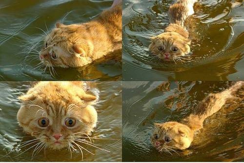 HELP ME.
