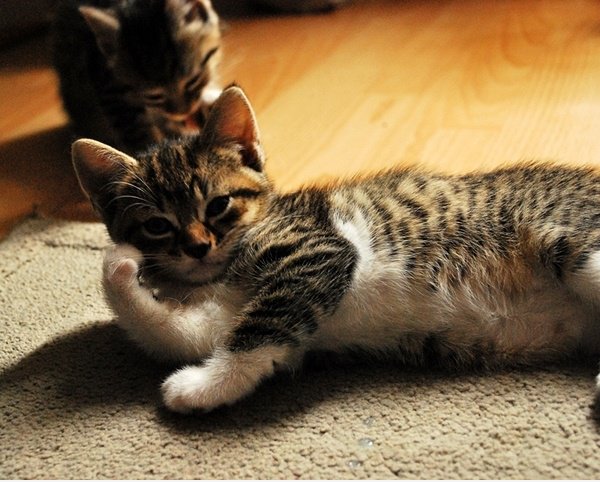 Ich denke darüber nach