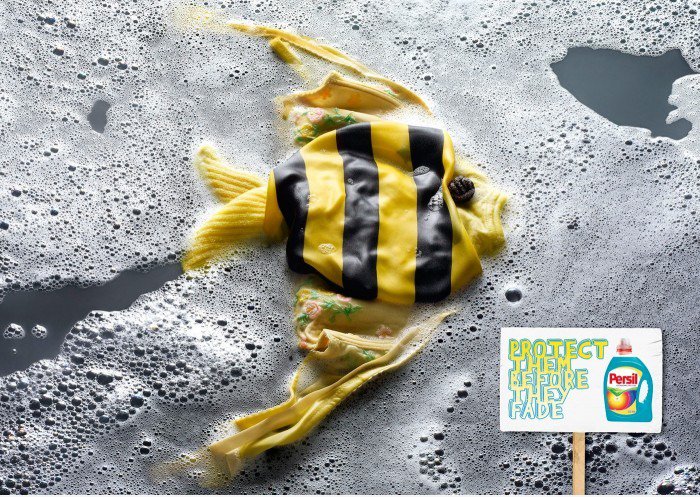 Schützen Sie sie, bevor sie verblassen: Fish