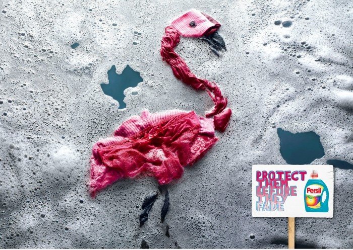 Schützen Sie sie, bevor sie verblassen: Flamingo